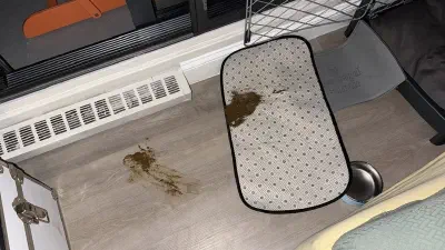 Chia's inside shit
